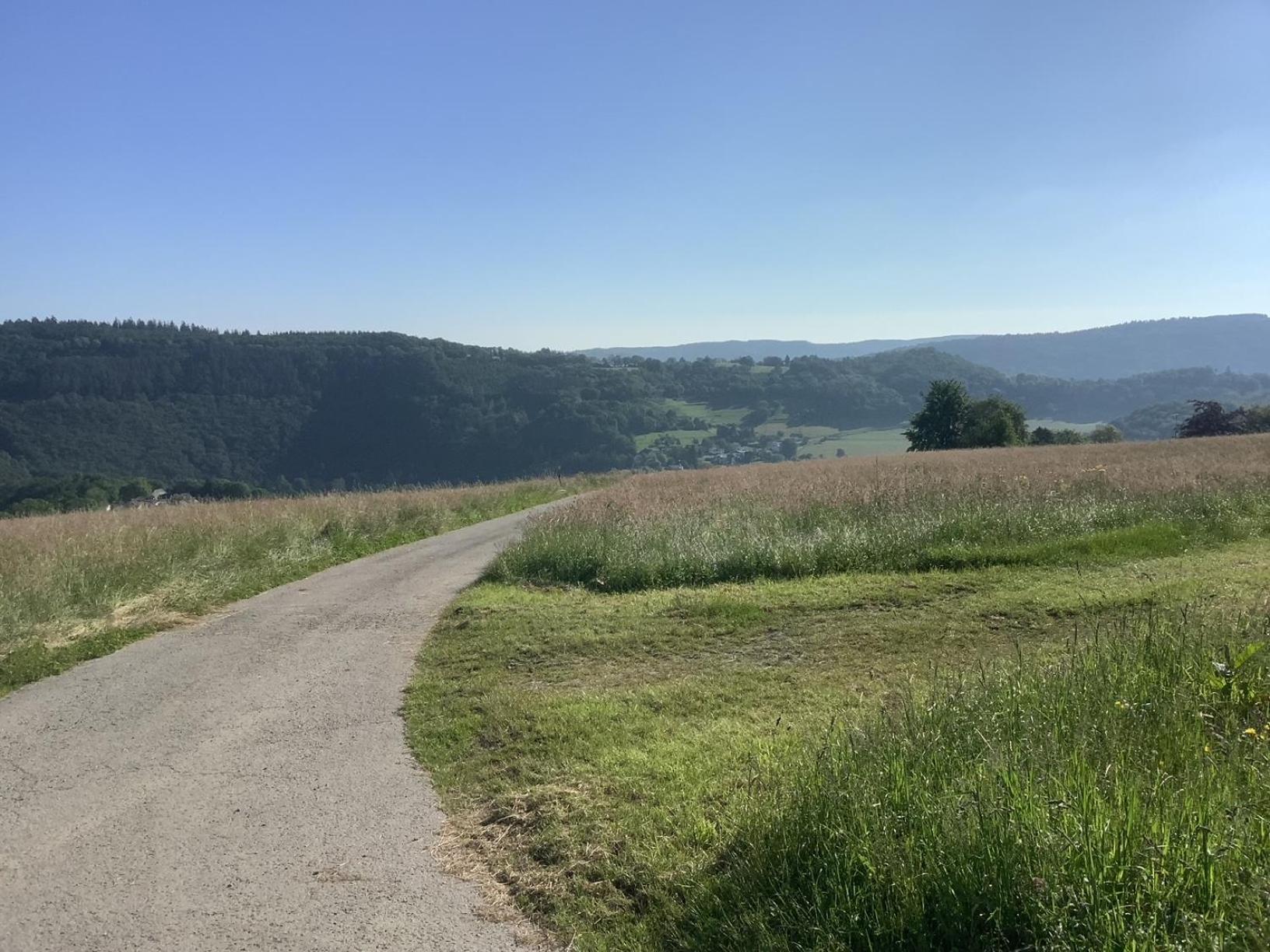 Berg Blick Eifler Bauernhaus Modern Restauriert Simmerath Eksteriør bilde